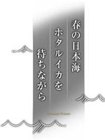 纪实72小时 春天的日本海 等待荧光乌贼