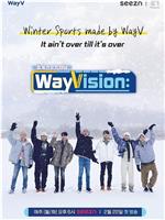 WayVision 2在线观看
