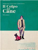 Il colpo del cane