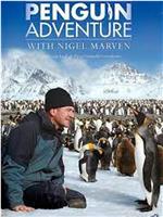 Penguin Week with Nigel Marven在线观看