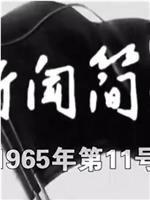 新闻简报1965年第11号在线观看