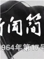 新闻简报1964年第17号