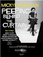 Micky Flanagan: Peeping Behind the Curtain在线观看