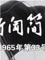 新闻简报1965年第33号在线观看