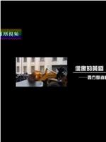 偶像的黄昏：西方学者看民主