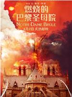 燃燒的巴黎聖母院