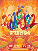 2022年北京卫视春节联欢晚会在线观看