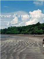 L'Iveresse d'une Oasis在线观看