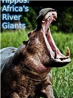 河马：非洲河流巨兽在线观看