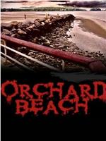 Orchard Beach在线观看