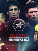 2012-2013赛季 德国足球甲级联赛在线观看