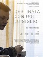 Destinata coniugi Lo Giglio