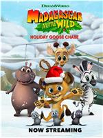 Madagascar: A Little Wild – Holiday Goose Chase在线观看