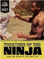 Treasure of the Ninja
