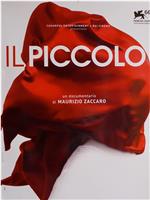 Il piccolo在线观看