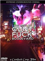 The Best of Cunt Fuck Boulevard