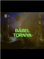 Bábel tornya在线观看