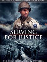 为正义服务：第 333 野战炮兵营的故事在线观看