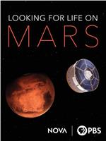 Looking for Life on Mars