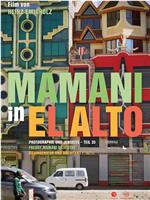 Mamani in El Alto