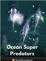 Ocean Super Predators