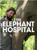 Elephant Hospital Season 1在线观看