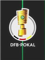 DFB Pokal 2013/2014在线观看