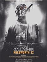 Liam Gallagher: Knebworth 22在线观看