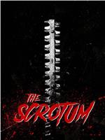 The Scrotum