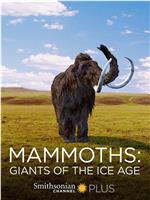 猛犸象：冰河世纪的巨兽
