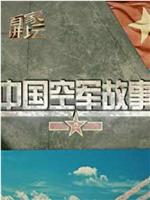 百家讲坛：中国空军故事