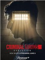 犯罪心理：演变 第十七季在线观看