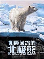 Polar Bears: Living on Thin Ice 第一季
