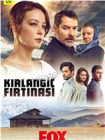 Kirlangiç Firtinasi