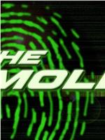 The Mole Season 1