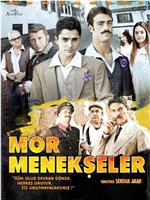 Mor Menekseler