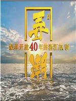 弄潮：改革开放40年的浙江故事在线观看
