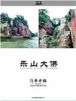 传承·中国 世界遗产3D纪录片系列之乐山大佛