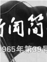 新闻简报1965年第39号在线观看