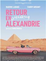 Retour en Alexandrie