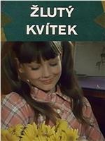 Zlutý kvítek在线观看