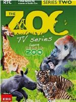 动物园系列2 都柏林动物园 第二季