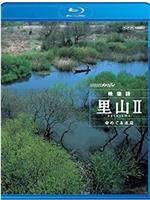 映像诗：日本里山神秘水上花园 2