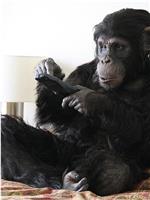 Primate Cinema: Apes as Family