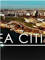 海洋城市 第二季在线观看
