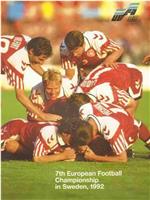 1992年瑞典欧洲杯
