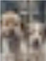 The More I Zoom in on the Image of These Dogs, The Clearer it Becomes They Are That They Are Related to the Stars在线观看