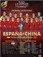 2012年欧洲杯热身赛 西班牙Vs中国在线观看