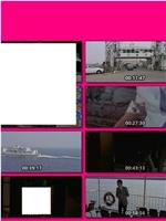 ザ・コールガール 情痴の檻在线观看