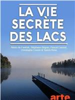 Secret Life of Lakes Season 1在线观看